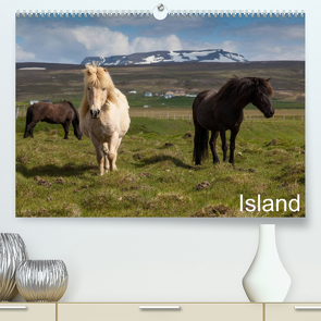 Island (Premium, hochwertiger DIN A2 Wandkalender 2023, Kunstdruck in Hochglanz) von Gulbins,  Helmut