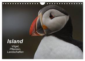 Island: Vögel, Pflanzen, Landschaften (Wandkalender 2024 DIN A4 quer), CALVENDO Monatskalender von Uppena,  Leon