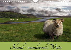 Island – wundervolle Weite (Wandkalender 2023 DIN A4 quer) von Söckchen,  Das