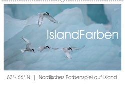 IslandFarben. 63°- 66°N Nordisches Farbenspiel auf Island (Wandkalender 2021 DIN A2 quer) von van der Wiel,  Irma