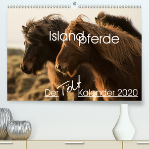 Islandpferde – Der Tölt Kalender (Premium, hochwertiger DIN A2 Wandkalender 2020, Kunstdruck in Hochglanz) von van der Wiel www.kalender-atelier.de,  Irma