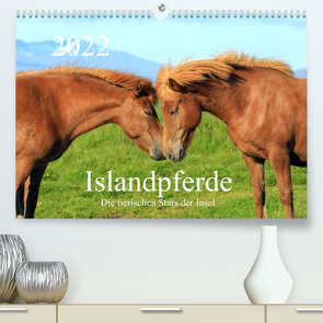 Islandpferde – Die tierischen Stars der Insel (Premium, hochwertiger DIN A2 Wandkalender 2022, Kunstdruck in Hochglanz) von Grosskopf,  Rainer