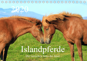 Islandpferde – Die tierischen Stars der Insel (Tischkalender 2020 DIN A5 quer) von Grosskopf,  Rainer