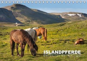 Islandpferde: Gefährten der Wikinger (Tischkalender immerwährend DIN A5 quer) von Preißler,  Norman