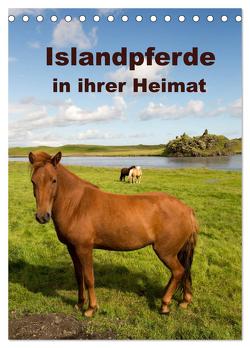 Islandpferde in ihrer Heimat (Tischkalender 2024 DIN A5 hoch), CALVENDO Monatskalender von Rusch,  Winfried