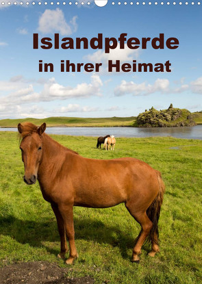 Islandpferde in ihrer Heimat (Wandkalender 2023 DIN A3 hoch) von Rusch,  Winfried