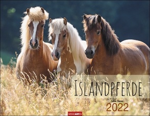 Islandpferde Kalender 2022 von Stuewer,  Sabine, Weingarten