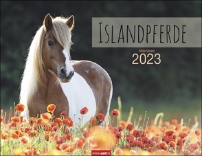 Islandpferde Kalender 2023. Fotokalender mit Porträts der beeindruckenden Wahrzeichen Islands. Großer Wandkalender für Freunde dieser besonderen Pferderasse. von Stuewer,  Sabine, Weingarten