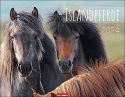 Islandpferde Kalender 2024 von Sabine Stuewer