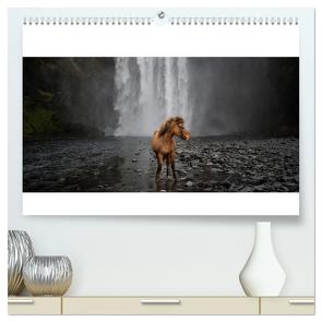 Islandpferde Kalender – Pferde von der Insel aus Feuer und Eis (hochwertiger Premium Wandkalender 2024 DIN A2 quer), Kunstdruck in Hochglanz von Voth,  Alexandra