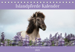 Islandpferde Kalender (Tischkalender 2023 DIN A5 quer) von Voth,  Alexandra