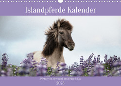 Islandpferde Kalender (Wandkalender 2023 DIN A3 quer) von Voth,  Alexandra