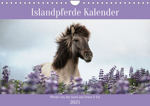 Islandpferde Kalender (Wandkalender 2023 DIN A4 quer) von Voth,  Alexandra