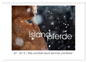 Islandpferde – Stolz und Stark durch Sommer und Winter (Wandkalender 2024 DIN A3 quer), CALVENDO Monatskalender von van der Wiel,  Irma
