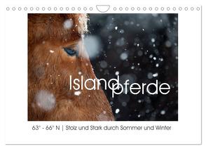 Islandpferde – Stolz und Stark durch Sommer und Winter (Wandkalender 2024 DIN A4 quer), CALVENDO Monatskalender von van der Wiel,  Irma