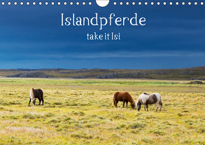 Islandpferde take it Isi (Wandkalender 2019 DIN A4 quer) von Gerken,  Klaus
