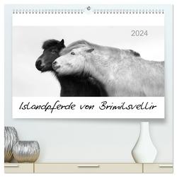 Islandpferde von Brimilsvellir (hochwertiger Premium Wandkalender 2024 DIN A2 quer), Kunstdruck in Hochglanz von Albert,  Jutta