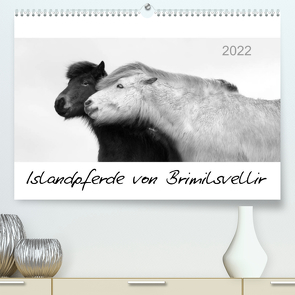 Islandpferde von Brimilsvellir (Premium, hochwertiger DIN A2 Wandkalender 2022, Kunstdruck in Hochglanz) von Albert,  Jutta