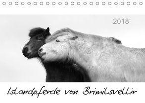 Islandpferde von Brimilsvellir (Tischkalender 2018 DIN A5 quer) von Albert,  Jutta