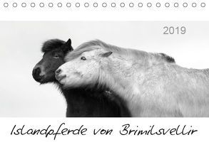 Islandpferde von Brimilsvellir (Tischkalender 2019 DIN A5 quer) von Albert,  Jutta