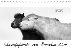 Islandpferde von Brimilsvellir (Tischkalender 2020 DIN A5 quer) von Albert,  Jutta