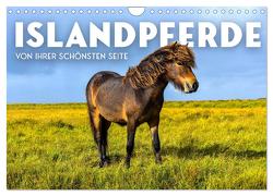 Islandpferde – Von ihrer schönsten Seite (Wandkalender 2024 DIN A4 quer), CALVENDO Monatskalender von SF,  SF