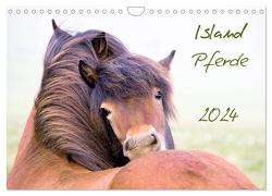 Islandpferde (Wandkalender 2024 DIN A4 quer), CALVENDO Monatskalender von Gimpel,  Frauke