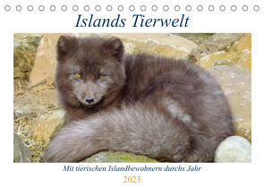Islands Tierwelt – Mit tierischen Inselbewohnern durchs Jahr (Tischkalender 2023 DIN A5 quer) von Dehnhardt,  Patrick