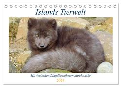 Islands Tierwelt – Mit tierischen Inselbewohnern durchs Jahr (Tischkalender 2024 DIN A5 quer), CALVENDO Monatskalender von Dehnhardt,  Patrick