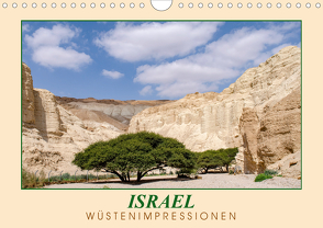 ISRAEL Wüstenimpressionen (Wandkalender 2021 DIN A4 quer) von Meißner,  Daniel