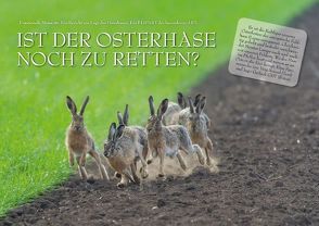 Ist der Osterhase noch zu retten? (Posterbuch DIN A4 quer) von Gerlach GDT & Vera Neusel,  Ingo