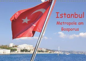 Istanbul – Metropole am Bosporus (Wandkalender 2019 DIN A3 quer) von Thauwald,  Pia