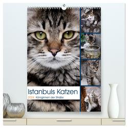 Istanbuls Katzen (hochwertiger Premium Wandkalender 2024 DIN A2 hoch), Kunstdruck in Hochglanz von Wagener,  Harald