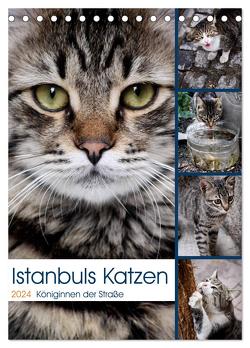 Istanbuls Katzen (Tischkalender 2024 DIN A5 hoch), CALVENDO Monatskalender von Wagener,  Harald