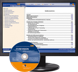 IT-Revision – Einzelbezug