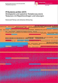 IT-Systeme prüfen (227) von Scheuring,  Johannes, Tremp,  Hansruedi
