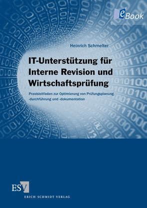 IT-Unterstützung für Interne Revision und Wirtschaftsprüfung von Schmelter,  Heinrich