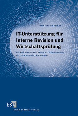 IT-Unterstützung für Interne Revision und Wirtschaftsprüfung von Schmelter,  Heinrich
