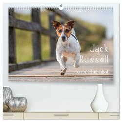 Jack Russell – Klein, aber oho! (hochwertiger Premium Wandkalender 2024 DIN A2 quer), Kunstdruck in Hochglanz von Mirsberger tierpfoto.de,  Annett