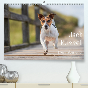 Jack Russell – Klein, aber oho! (Premium, hochwertiger DIN A2 Wandkalender 2022, Kunstdruck in Hochglanz) von Mirsberger tierpfoto.de,  Annett