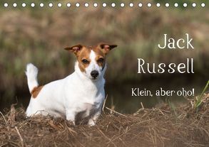 Jack Russell – Klein, aber oho! (Tischkalender 2019 DIN A5 quer) von Mirsberger tierpfoto.de,  Annett