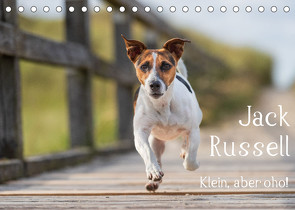 Jack Russell – Klein, aber oho! (Tischkalender 2022 DIN A5 quer) von Mirsberger tierpfoto.de,  Annett