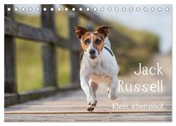 Jack Russell – Klein, aber oho! (Tischkalender 2024 DIN A5 quer), CALVENDO Monatskalender von Mirsberger tierpfoto.de,  Annett