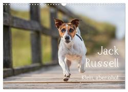 Jack Russell – Klein, aber oho! (Wandkalender 2024 DIN A3 quer), CALVENDO Monatskalender von Mirsberger tierpfoto.de,  Annett