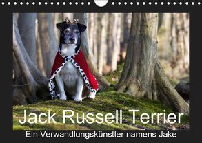 Jack Russell Terrier…..Ein Verwandlungskünstler namens Jake (Wandkalender 2019 DIN A4 quer) von S. + J. Schröder,  AWS, Schroeder,  Susanne, Werbeagentur