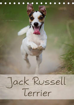 Jack Russell Terrier (Tischkalender 2023 DIN A5 hoch) von Noack,  Nicole