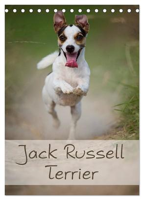 Jack Russell Terrier (Tischkalender 2024 DIN A5 hoch), CALVENDO Monatskalender von Noack,  Nicole