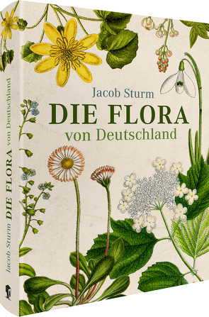 Jacob Sturm – Die Flora von Deutschland von Dr. Tackenberg,  Oliver, Sturm,  Jacob