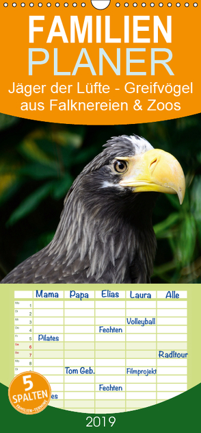 Jäger der Lüfte – Greifvögel aus Falknereien und Zoos – Familienplaner hoch (Wandkalender 2019 , 21 cm x 45 cm, hoch) von Widdmann,  Uwe