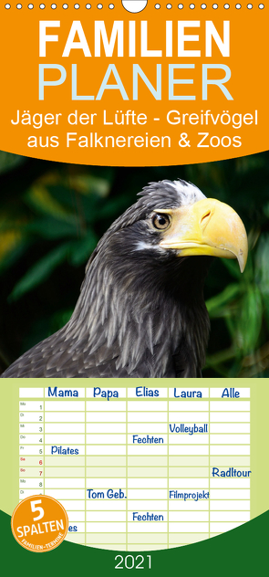 Jäger der Lüfte – Greifvögel aus Falknereien und Zoos – Familienplaner hoch (Wandkalender 2021 , 21 cm x 45 cm, hoch) von Widdmann,  Uwe